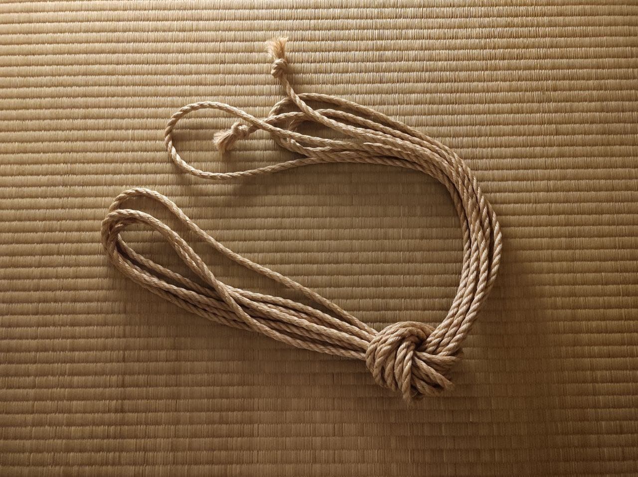 Ogawa treated rope